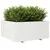 Produktbild 4 för Odlingslåda vit 100x100x49,5 cm massiv furu