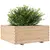 Produktbild 4 för Odlingslåda 110x110x49,5 cm massivt furuträ