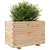 Produktbild 4 för Odlingslåda 70x40x49,5 cm massivt furuträ