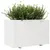 Produktbild 4 för Odlingslåda 110x60x72 cm vit massiv furu