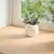 Produktbild 3 för Fönsterbänkar 2 st obehandlad 70x25x2 cm massiv ek