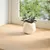 Produktbild 3 för Fönsterbänkar 2 st obehandlad 90x25x2 cm massiv ek