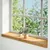 Produktbild 2 för Fönsterbänkar 2 st ljusbrun 80x20x2 cm massiv ek