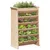 Produktbild 4 för Odlingshylla för örter 69x40x101,5 cm massiv furu