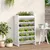 Produktbild 3 för Odlingshylla för örter vit 69x40x101,5 cm massiv furu