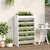 Produktbild 3 för Odlingshylla för örter vit 69x40x101,5 cm massiv furu